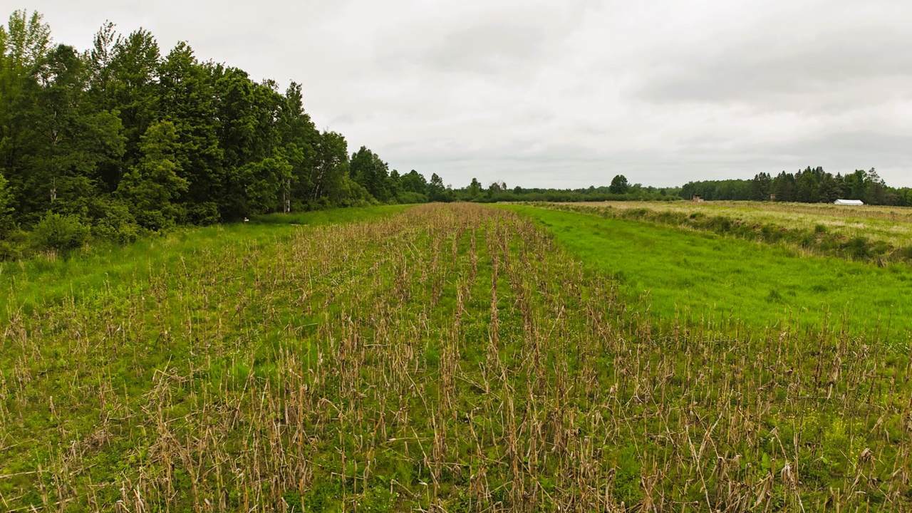 https://bt-photos.global.ssl.fastly.net/northwoods/1280_boomver_1_212542-2.jpg
