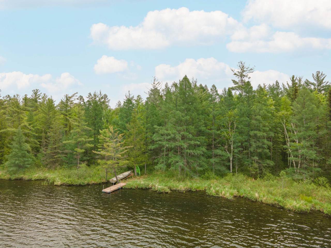 ON Wilderness Trl - Photo 1