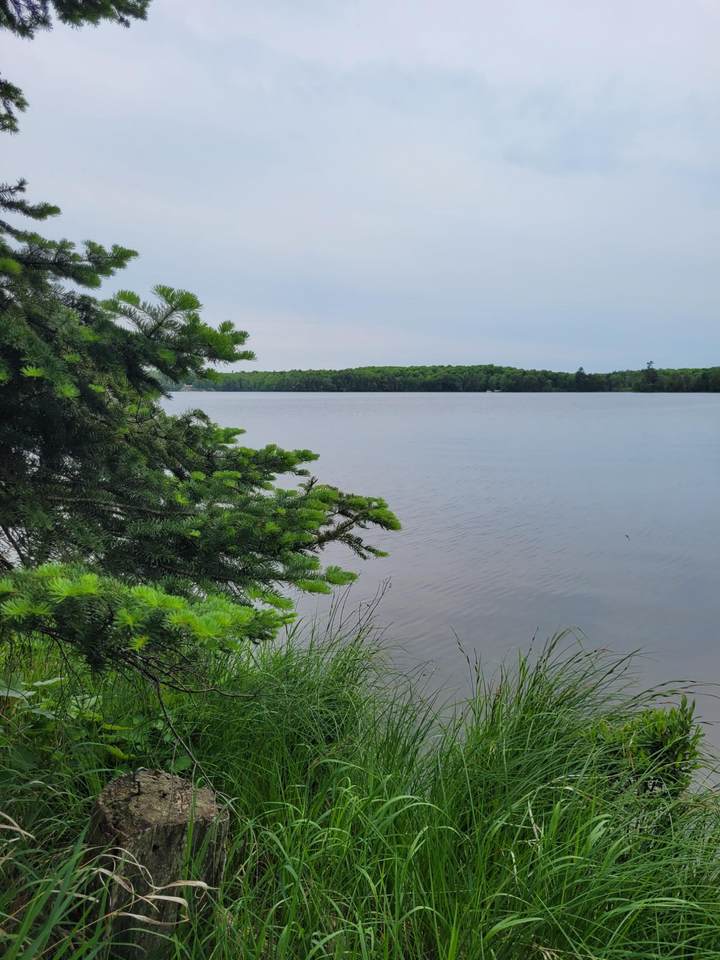 ON Pardee Lake Ln E - Photo 1