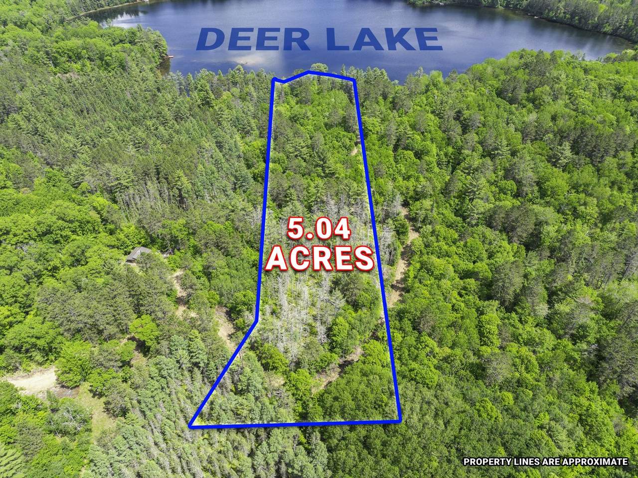 Lot 2 Donlo Ln - Photo 1