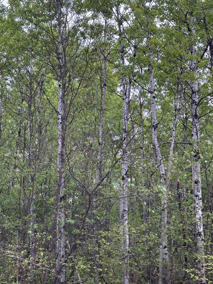 ON Kelly Dam Rd - Photo 1