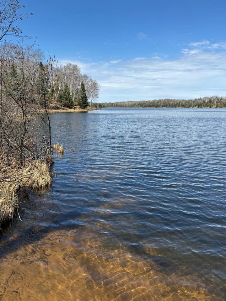 0000 Birch Point Ln - Photo 1