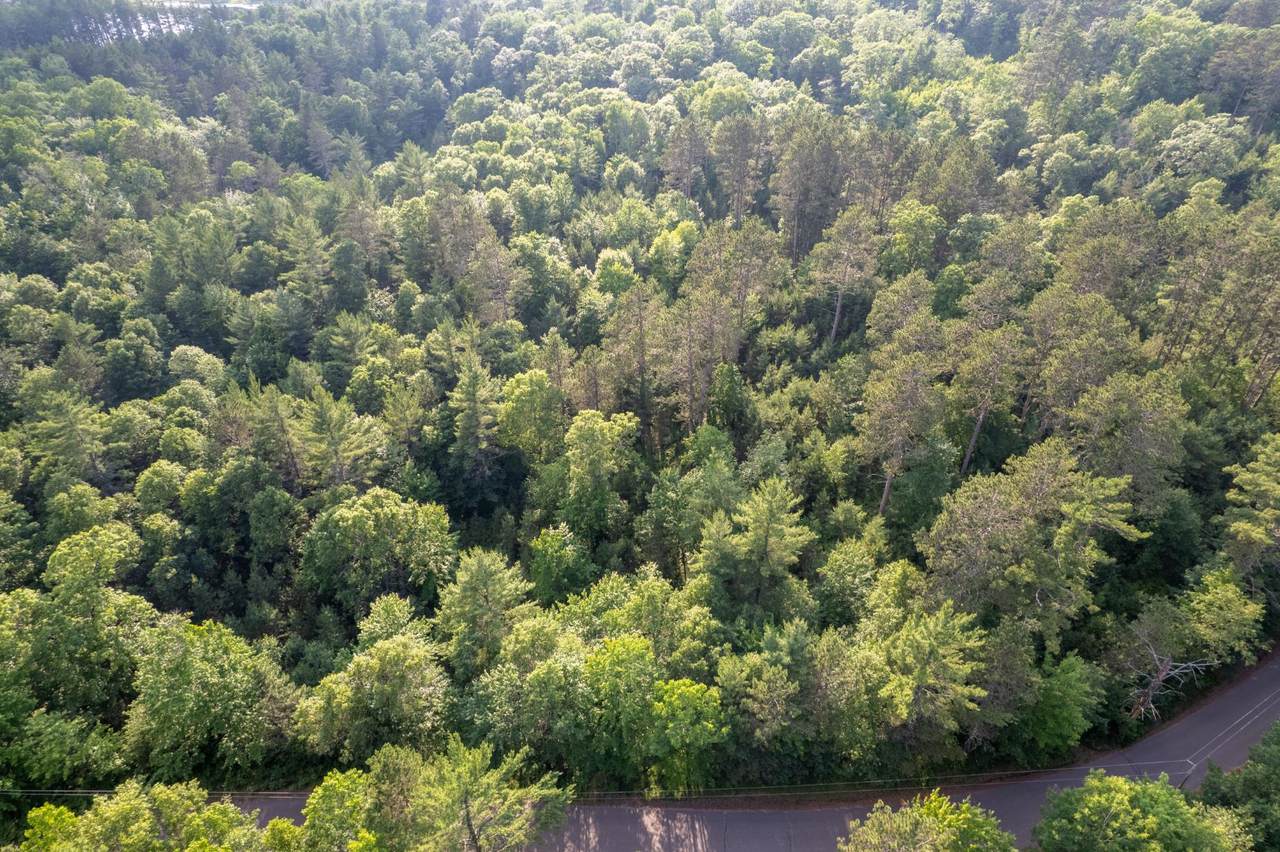Lot 5 Dads Lake Rd - Photo 1