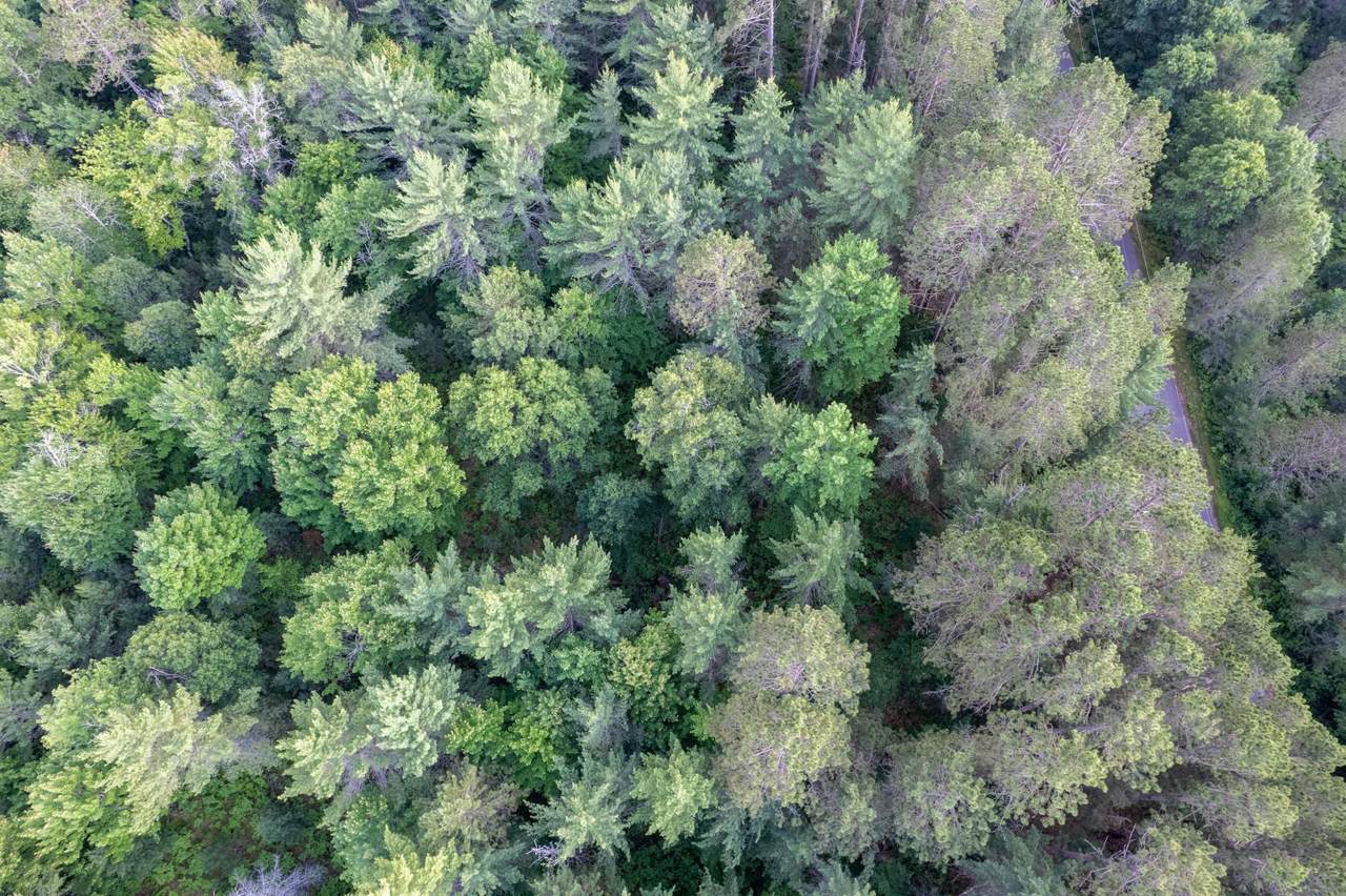 Lot 16 Dads Lake Rd - Photo 1