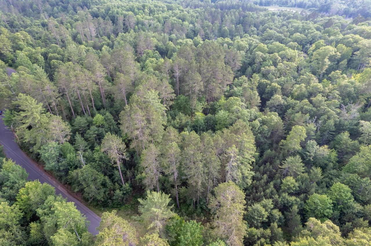 Lot 19 Dads Lake Rd - Photo 1