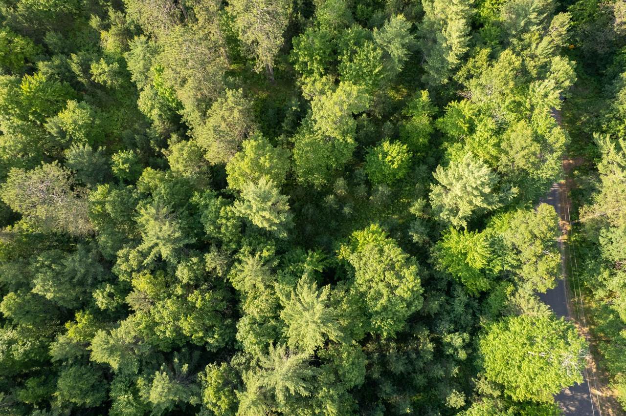 Lot 21 Dads Lake Rd - Photo 1