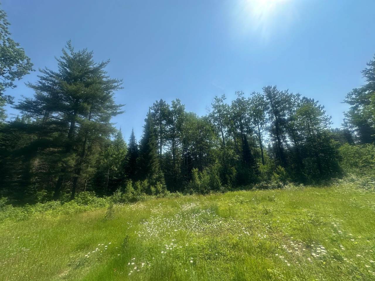 4204 Hegemann Rd - Photo 1