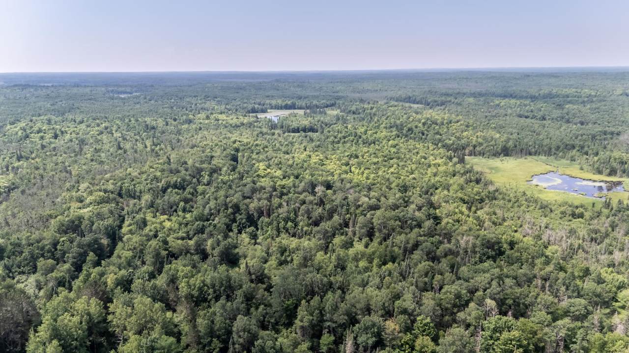 10701 Kuusisto Rd - Photo 1