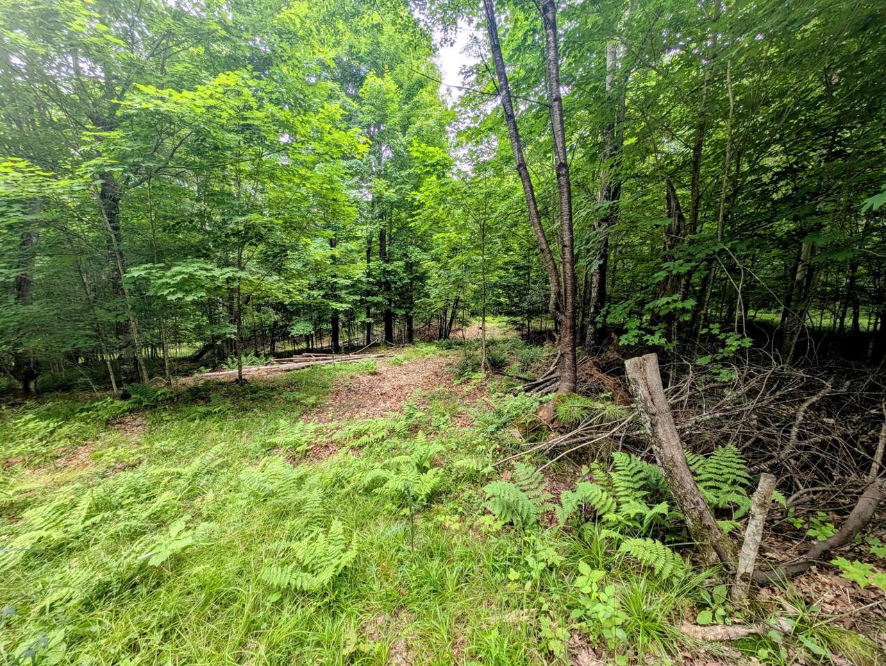 Lot 5 Grace Ln - Photo 1