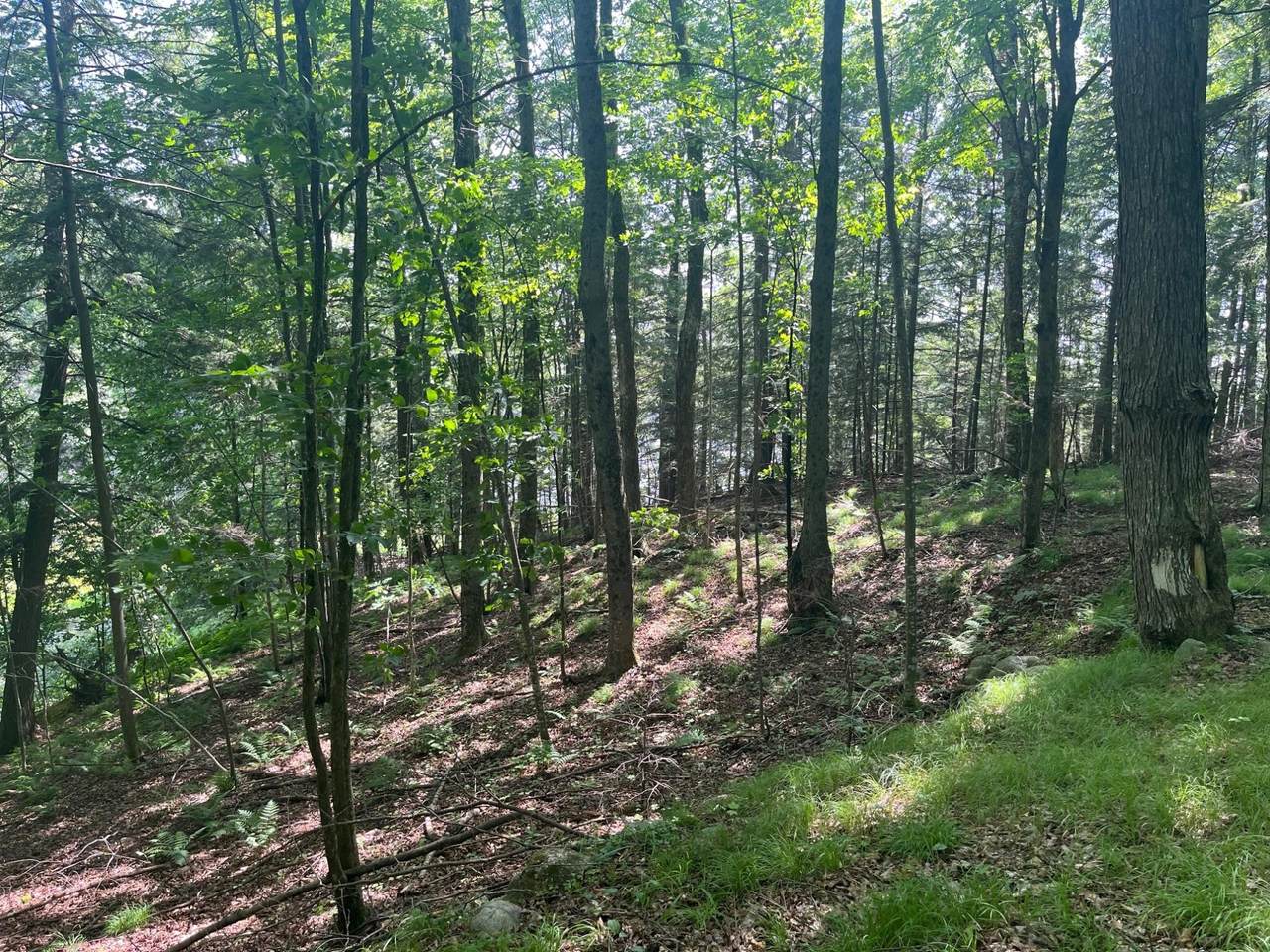 https://bt-photos.global.ssl.fastly.net/northwoods/1280_boomver_1_213301-2.jpg