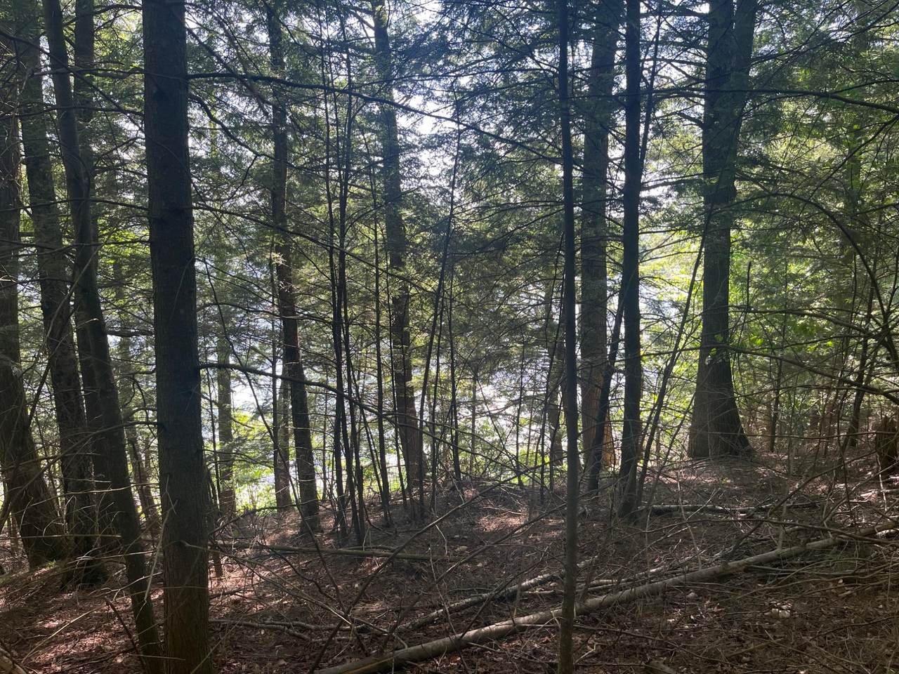 https://bt-photos.global.ssl.fastly.net/northwoods/1280_boomver_1_213301-2.jpg