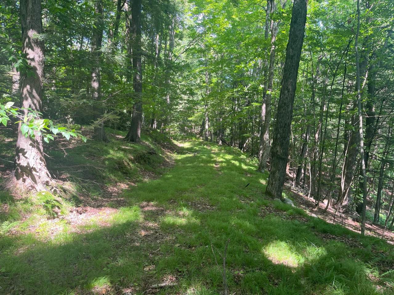 https://bt-photos.global.ssl.fastly.net/northwoods/1280_boomver_1_213301-2.jpg