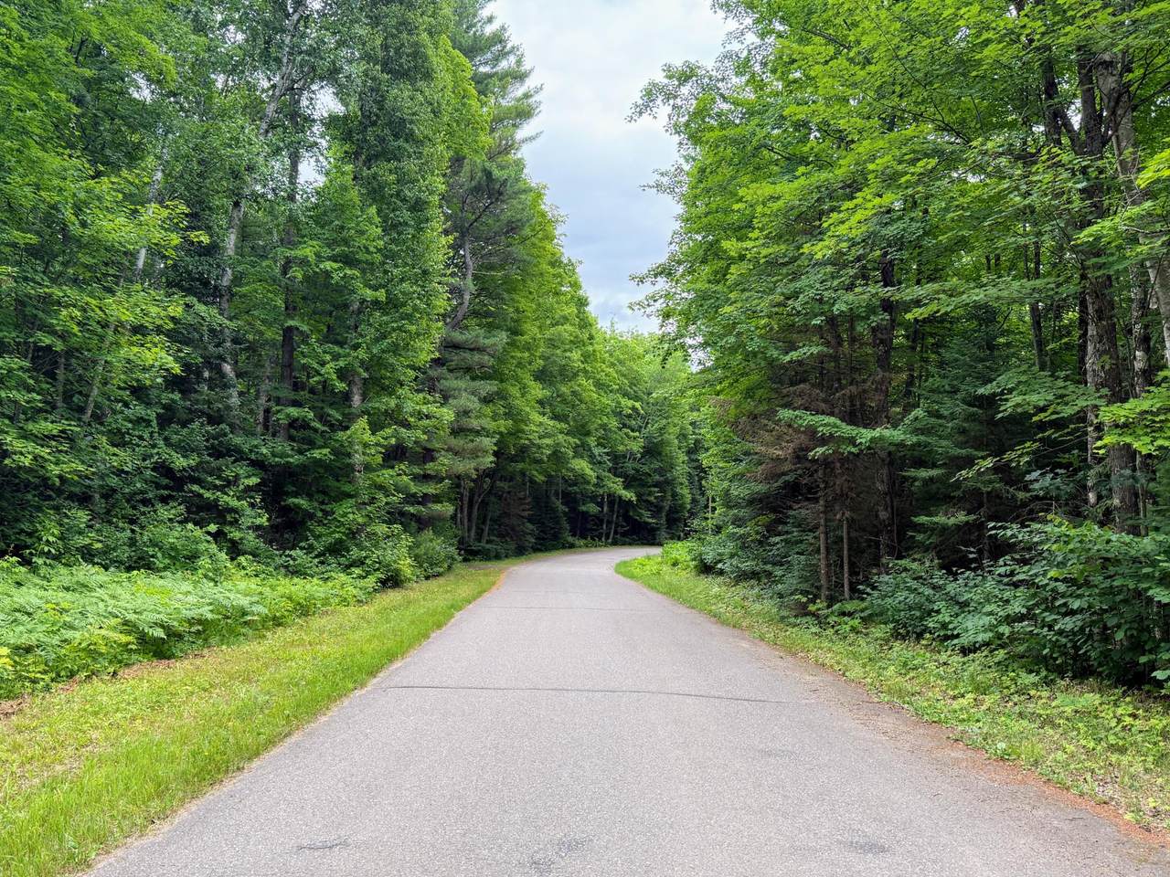 ON Bearskull Rd - Photo 1
