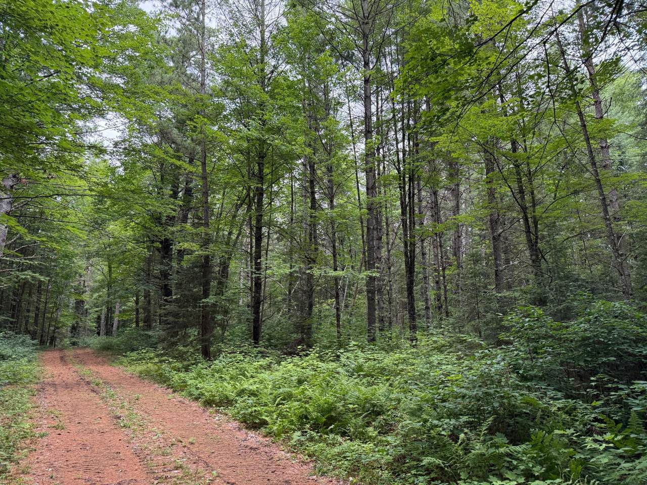 https://bt-photos.global.ssl.fastly.net/northwoods/1280_boomver_1_213350-2.jpg