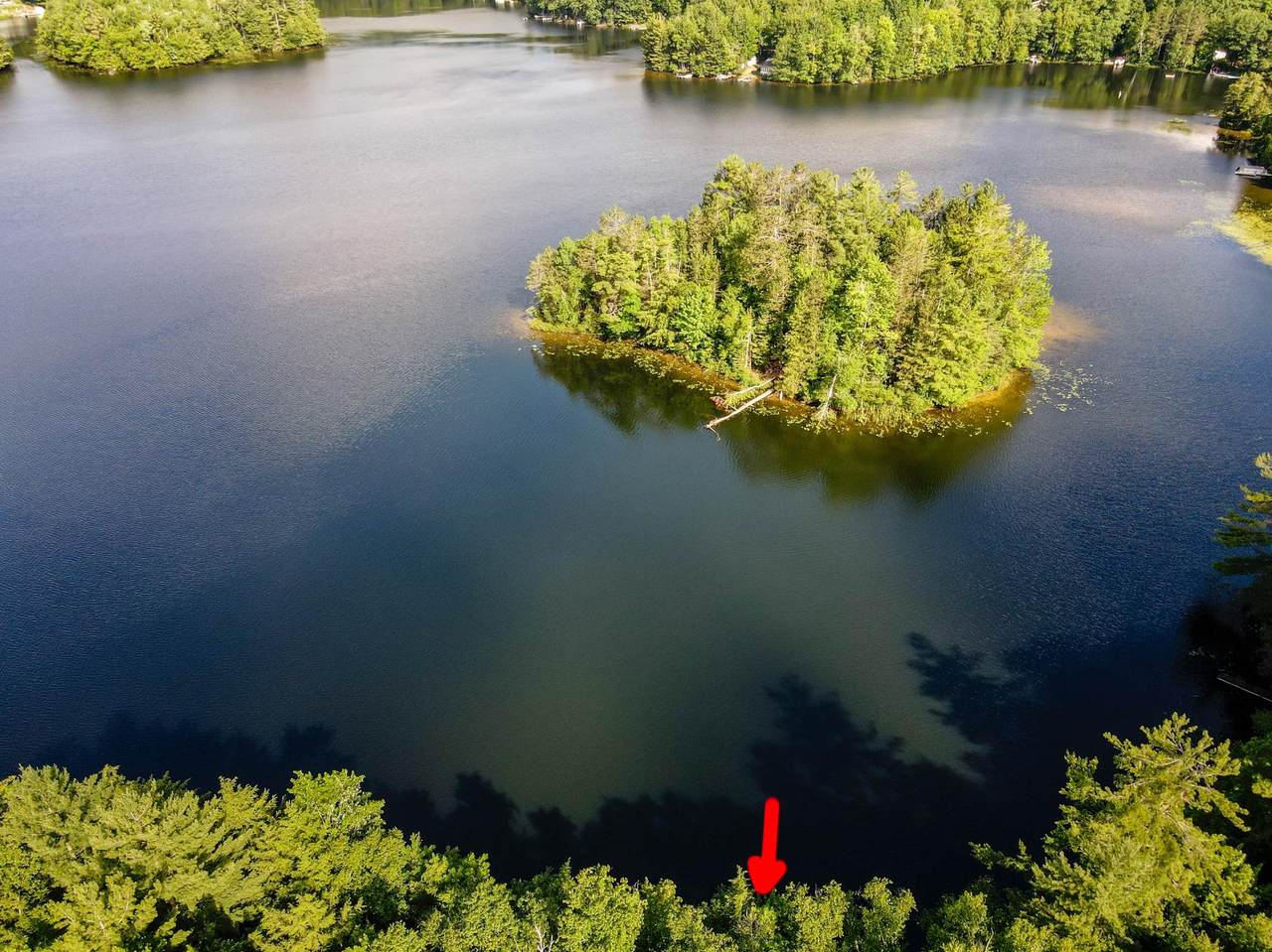 N8481 Bog Lake Rd - Photo 1