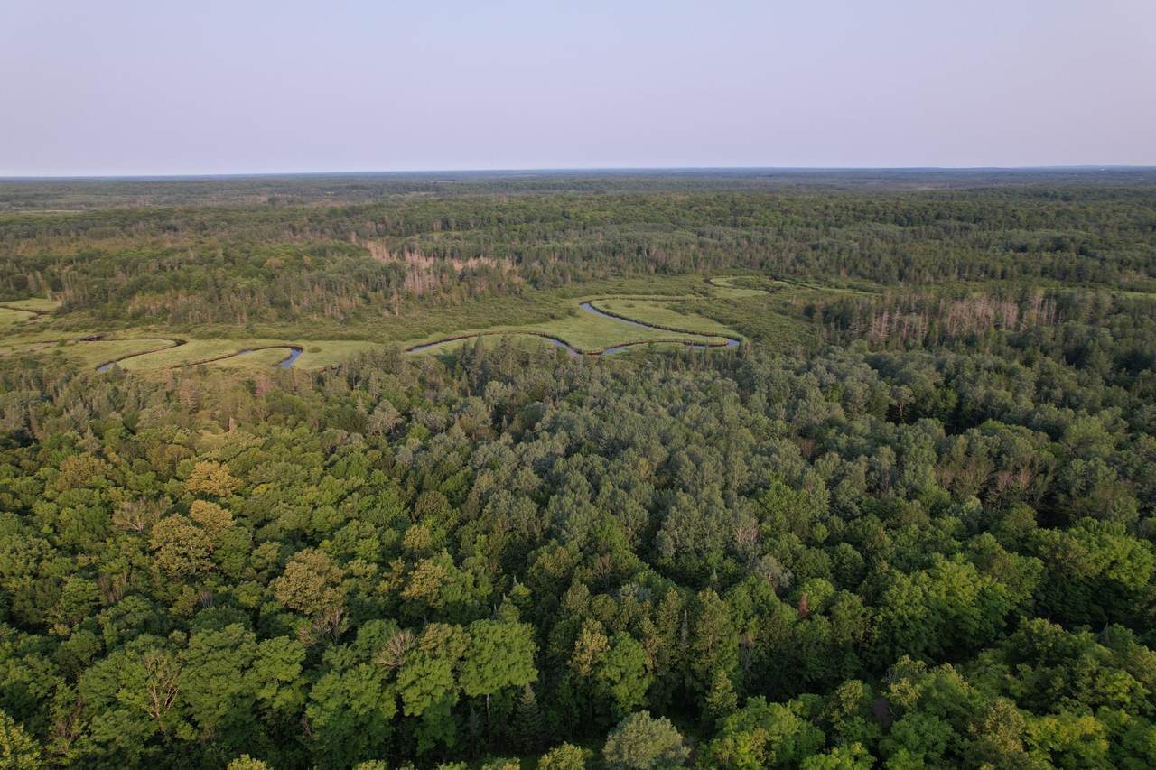 ON Griffith Rd - Photo 1