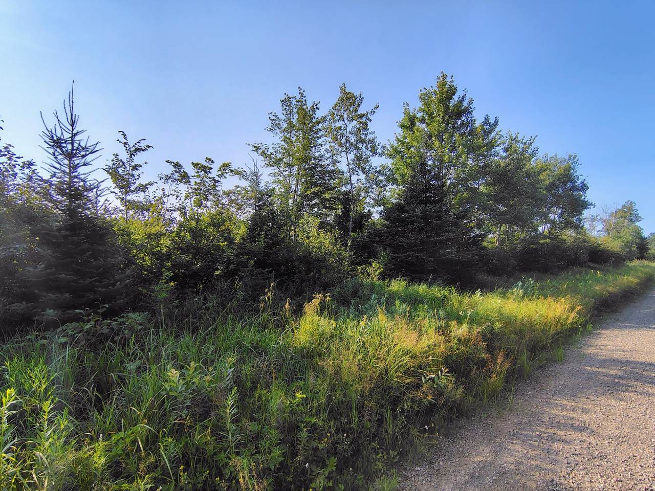 ON Right Of Way Rd - Photo 1