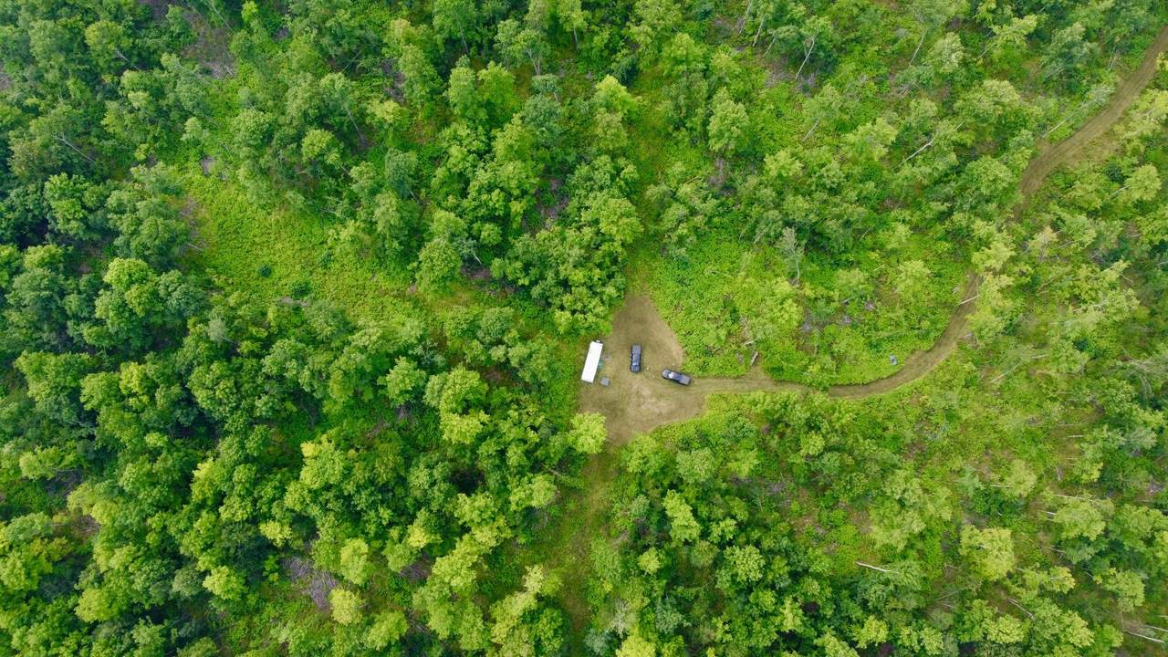 40 Acres Cth H - Photo 1