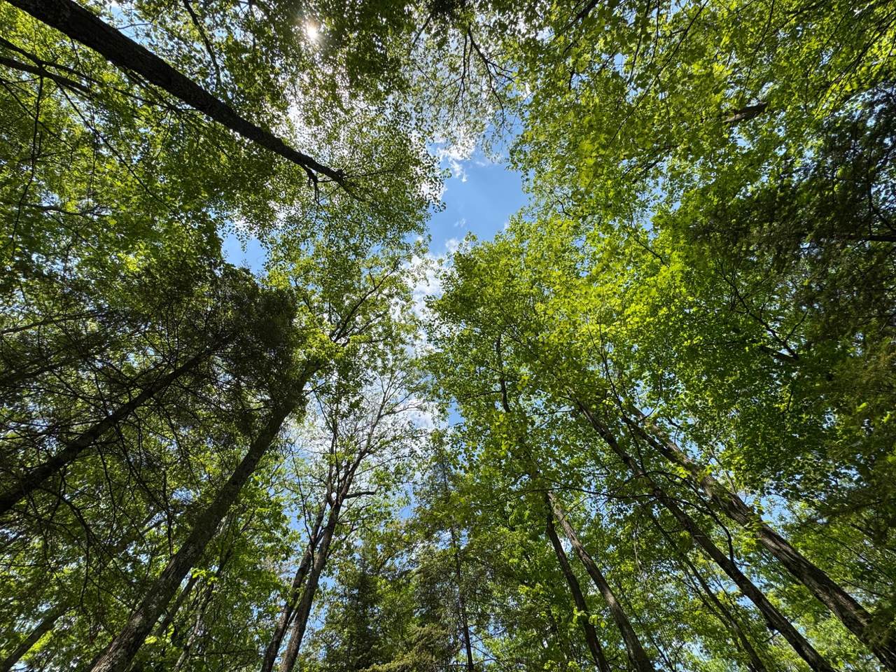 309/310 Deerwood Rd - Photo 1