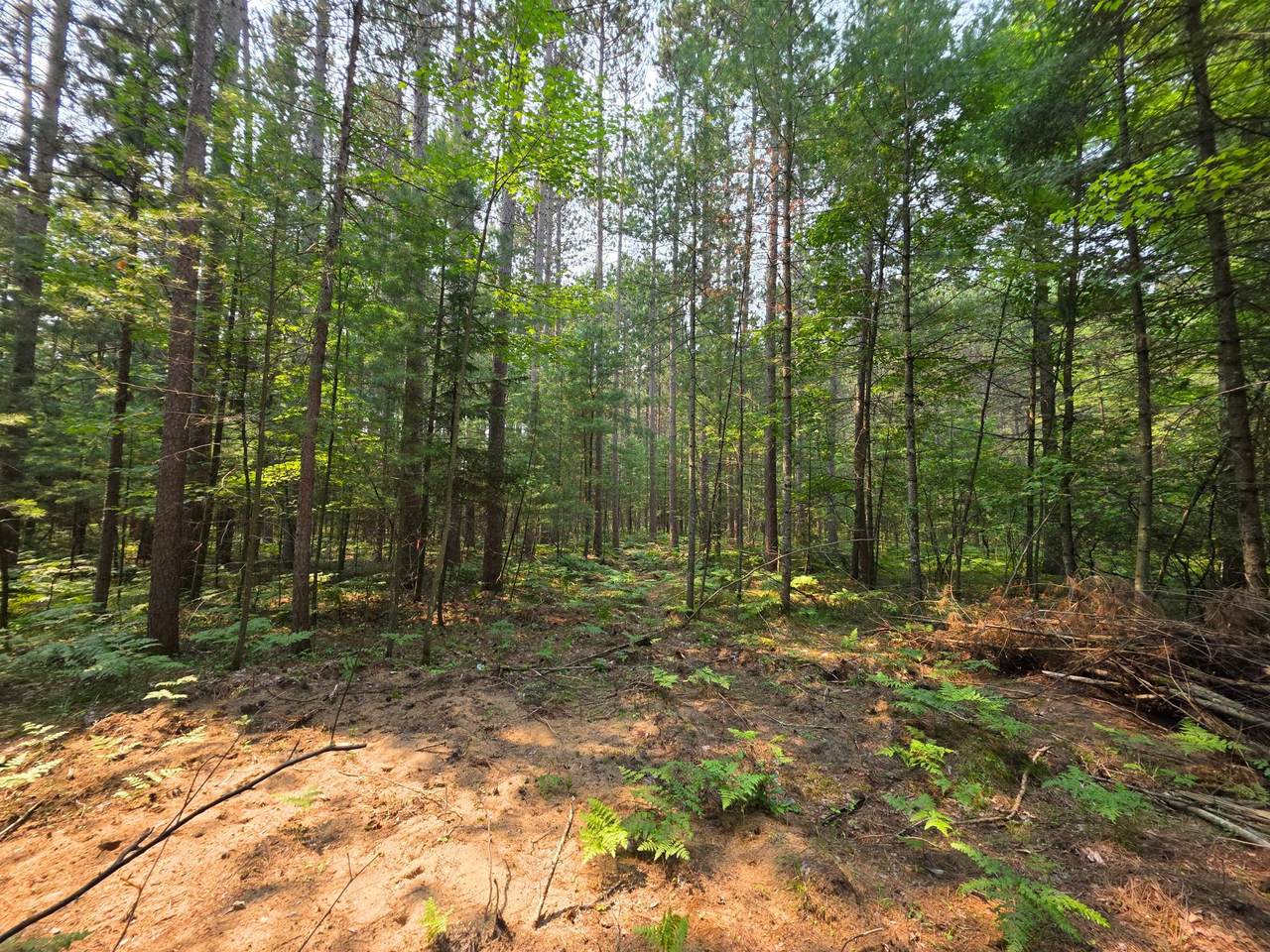 Lot 50 Whitetailed Deer Dr - Photo 1