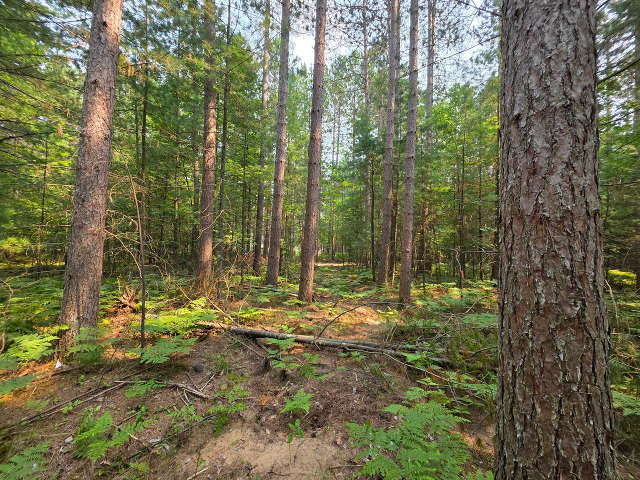 https://bt-photos.global.ssl.fastly.net/northwoods/1280_boomver_1_213586-2.jpg