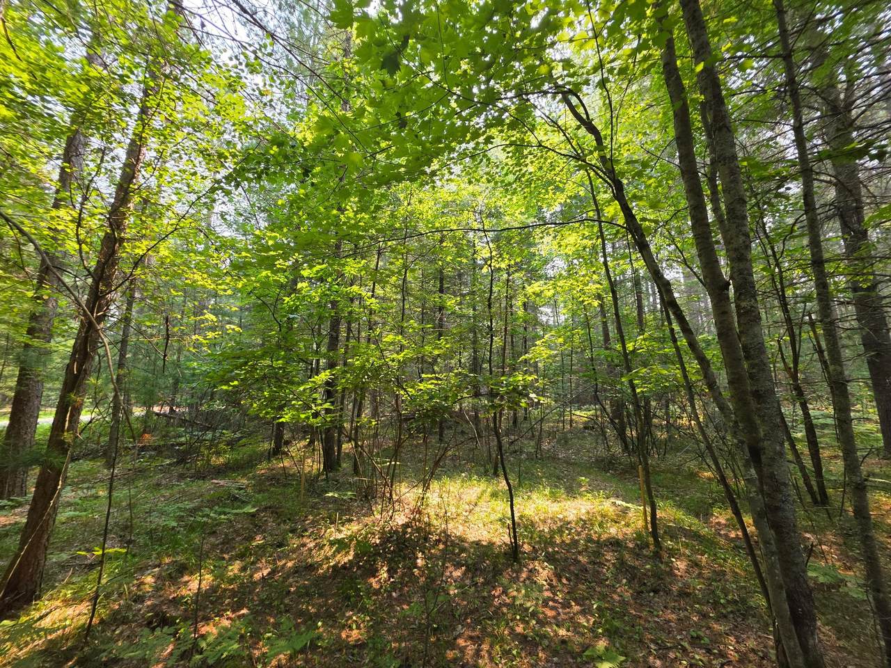 https://bt-photos.global.ssl.fastly.net/northwoods/1280_boomver_1_213586-2.jpg