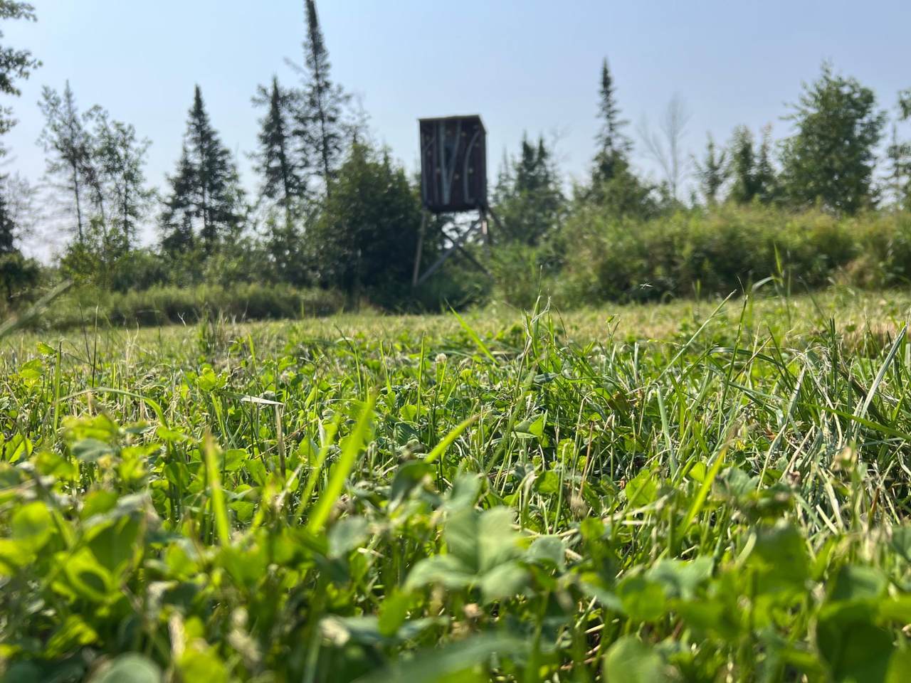 ON Saindon Rd - Photo 1