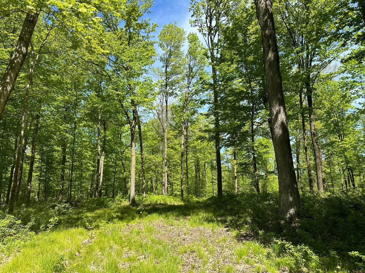https://bt-photos.global.ssl.fastly.net/northwoods/1280_boomver_1_213659-2.jpg
