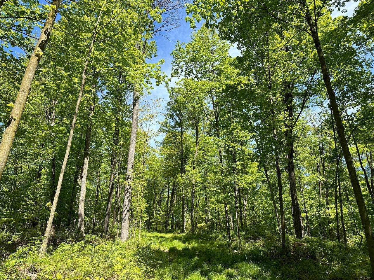 https://bt-photos.global.ssl.fastly.net/northwoods/1280_boomver_1_213659-2.jpg