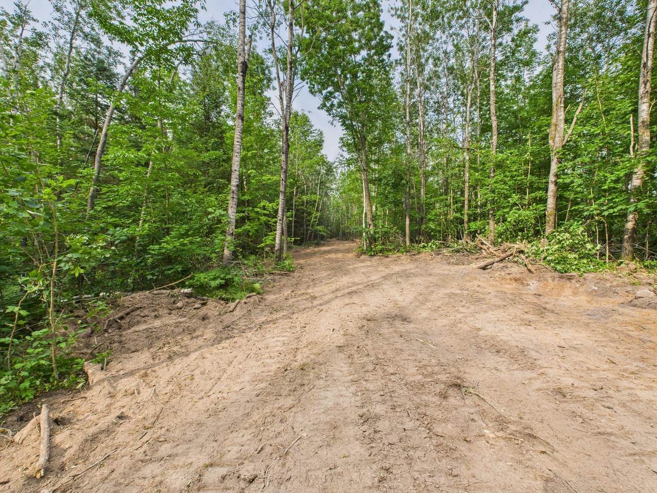 40 Ac Ison Rd - Photo 1
