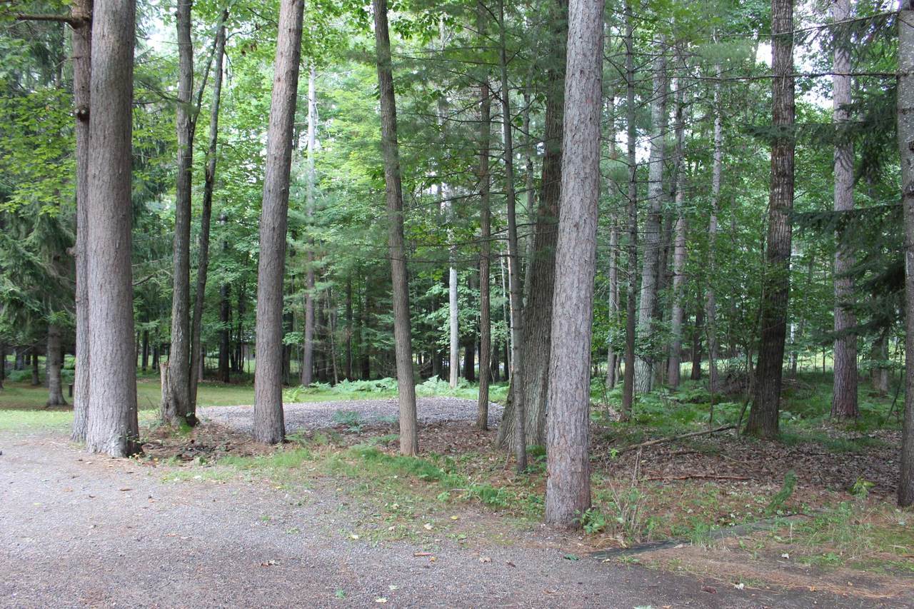 https://bt-photos.global.ssl.fastly.net/northwoods/1280_boomver_1_213794-2.jpg