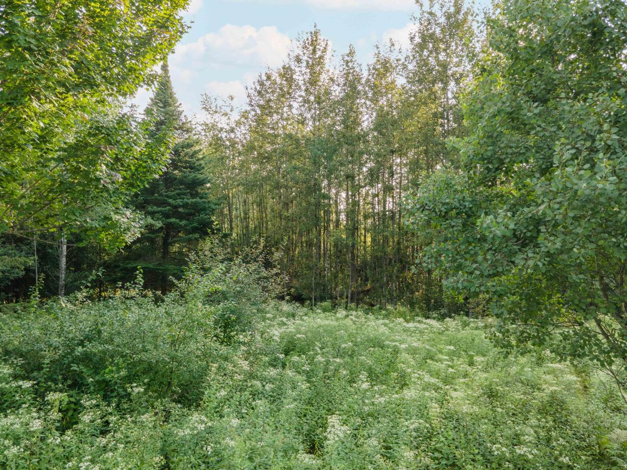 https://bt-photos.global.ssl.fastly.net/northwoods/1280_boomver_1_213832-2.jpg