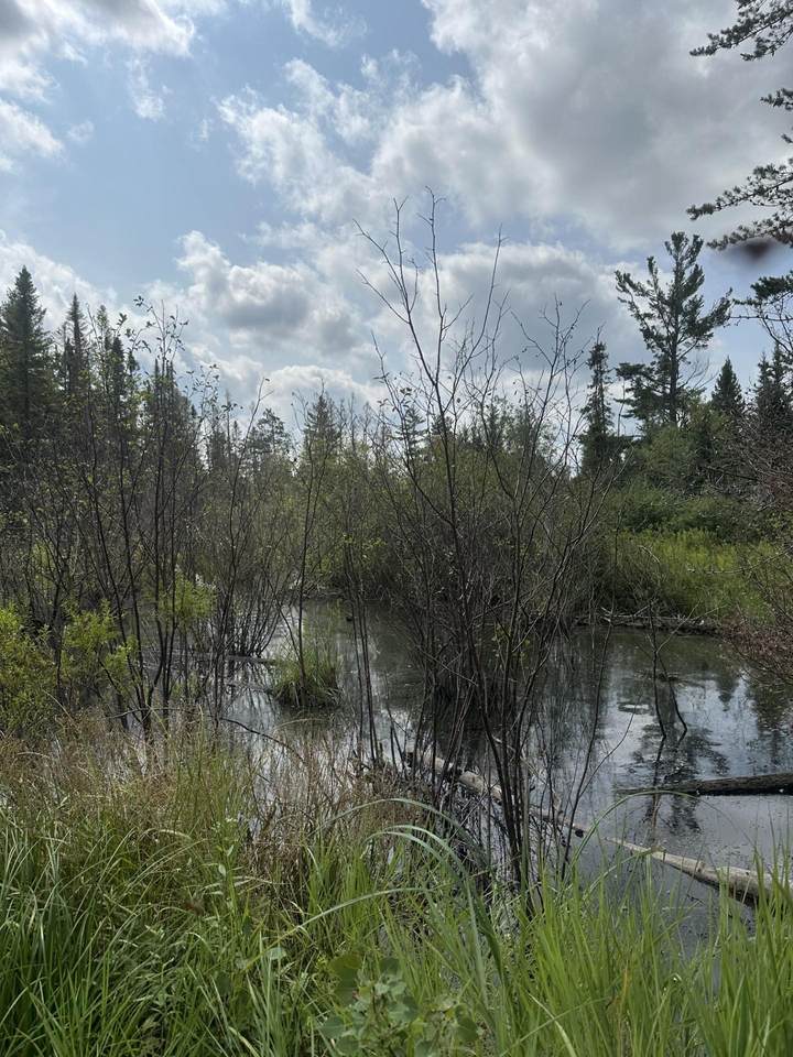 ON Malvern Fire Ln - Photo 1