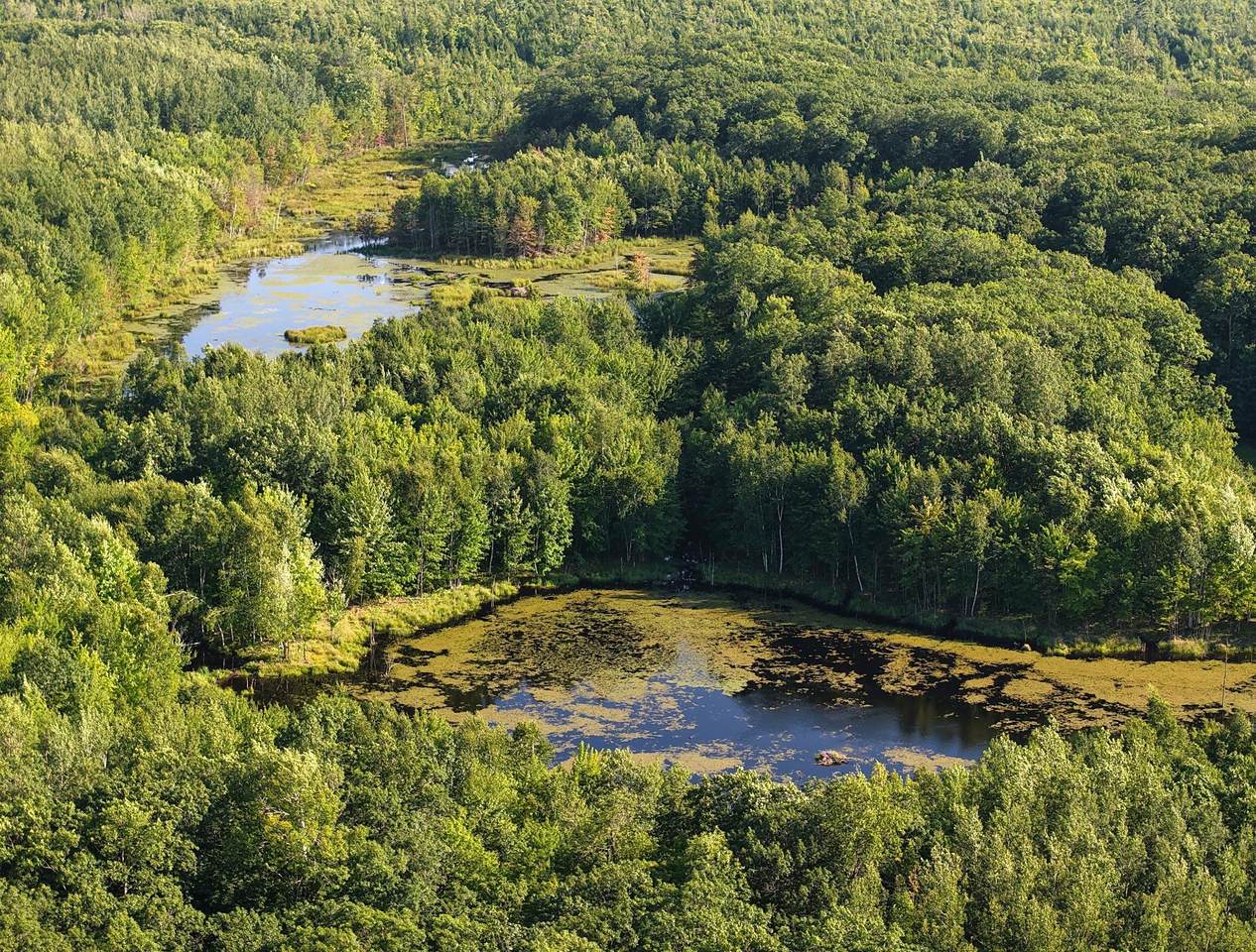 https://bt-photos.global.ssl.fastly.net/northwoods/1280_boomver_1_213858-2.jpg