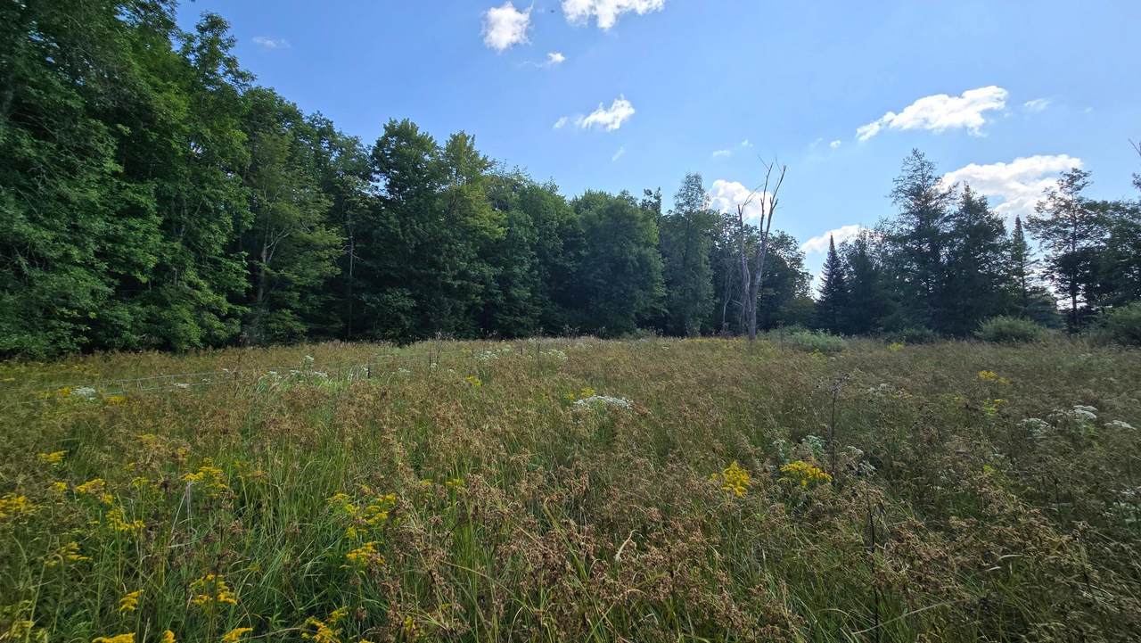 https://bt-photos.global.ssl.fastly.net/northwoods/1280_boomver_1_213888-2.jpg