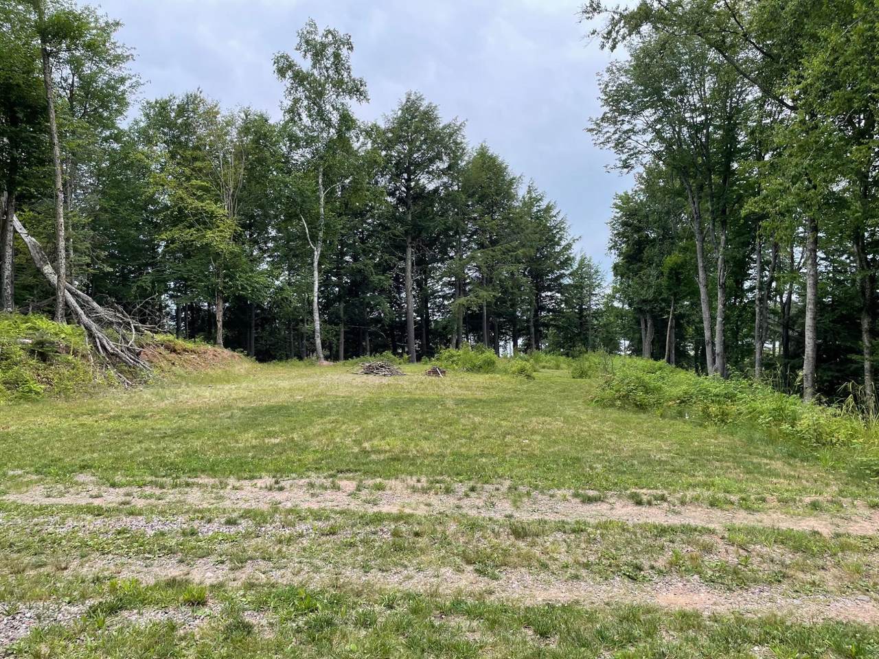 Lot 4 Cisco Lake Rd E - Photo 1