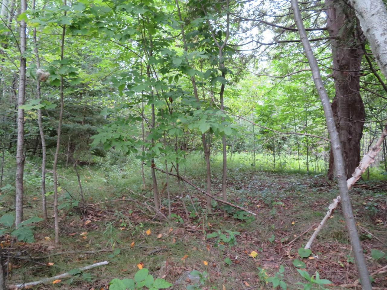 https://bt-photos.global.ssl.fastly.net/northwoods/1280_boomver_1_214142-2.jpg