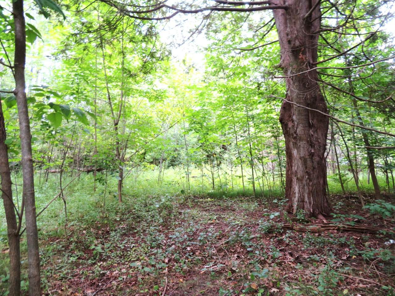 https://bt-photos.global.ssl.fastly.net/northwoods/1280_boomver_1_214142-2.jpg