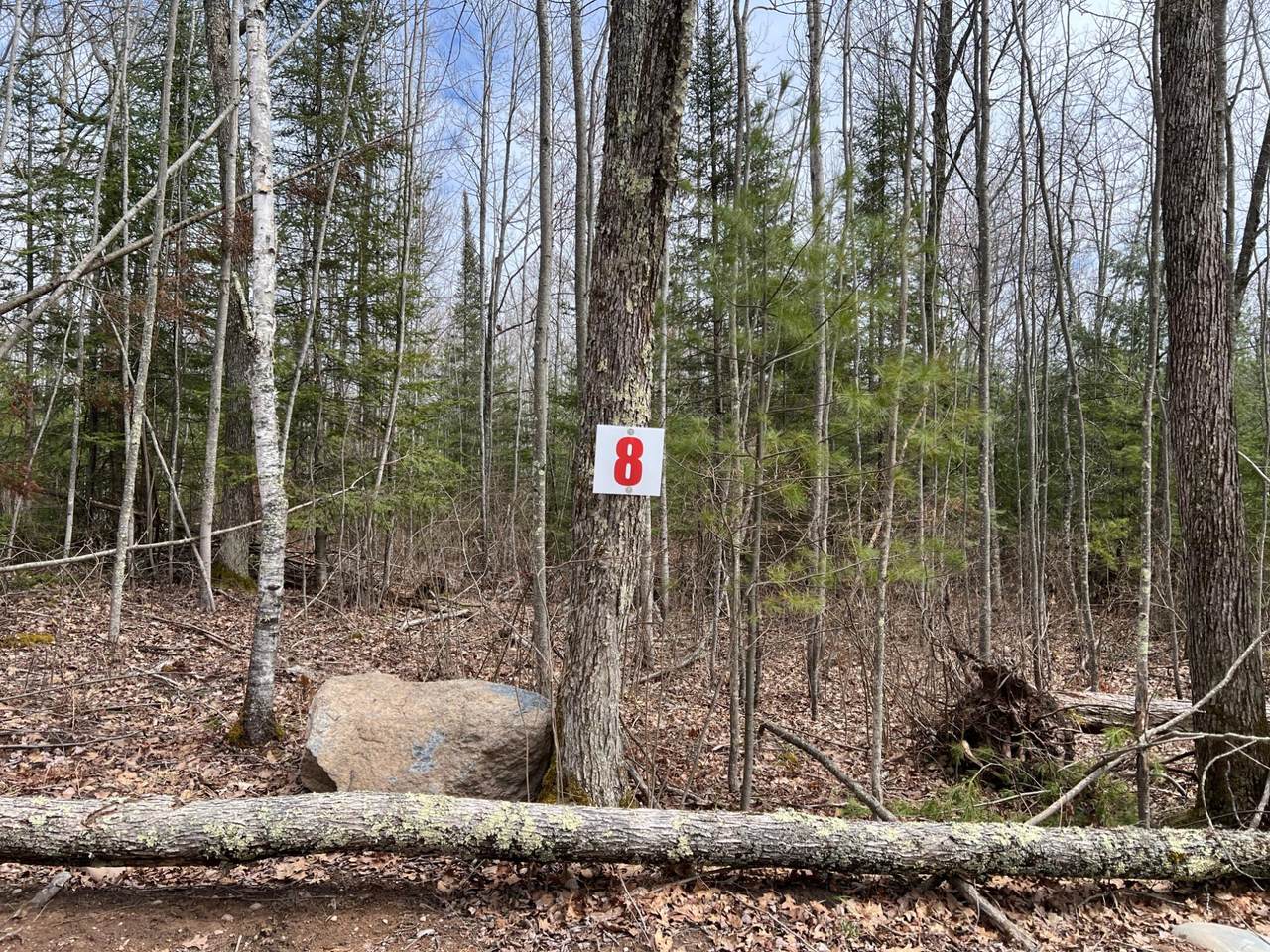 Lot 8 Sunset Rd - Photo 1