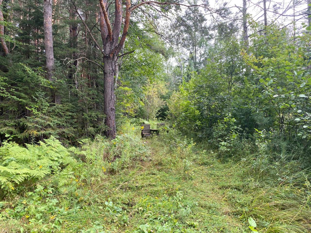 40 AC On Margaret Lake Rd - Photo 1