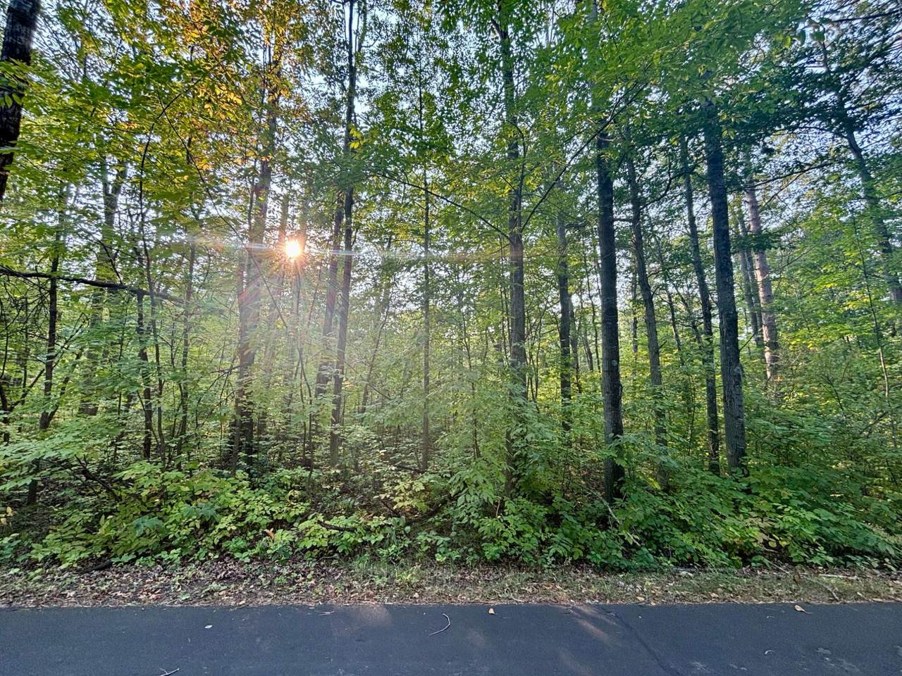 .55A On Scipio Ave - Photo 1