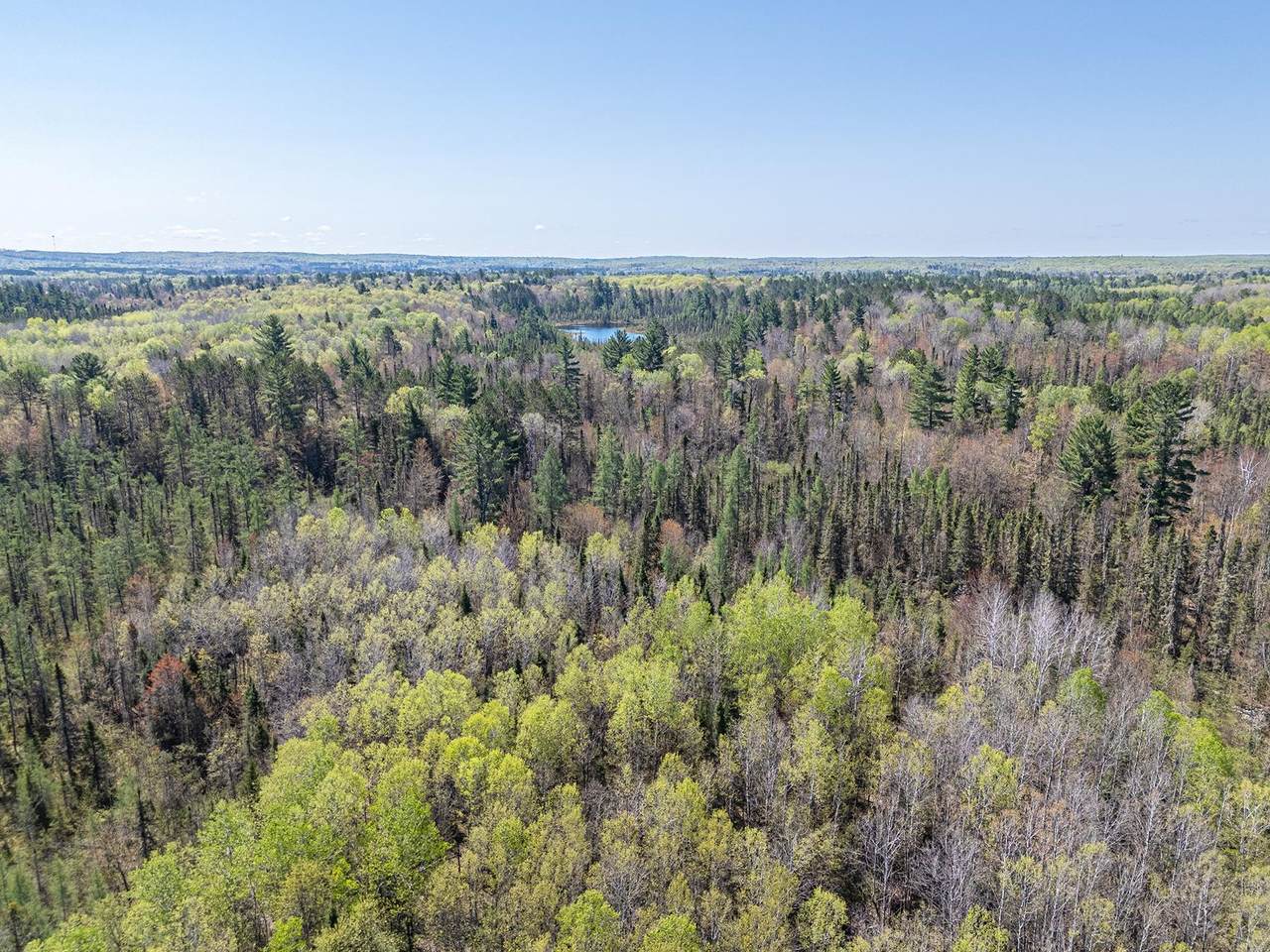 Off Rifle Range Rd - Photo 1