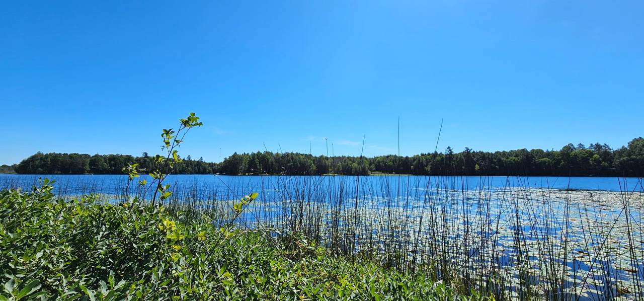 Lot3 off Golf Course Dr - Photo 1