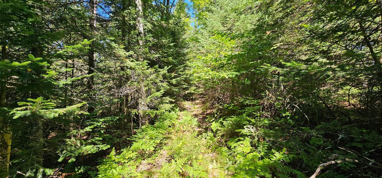 Lot4 off Golf Course Dr - Photo 1