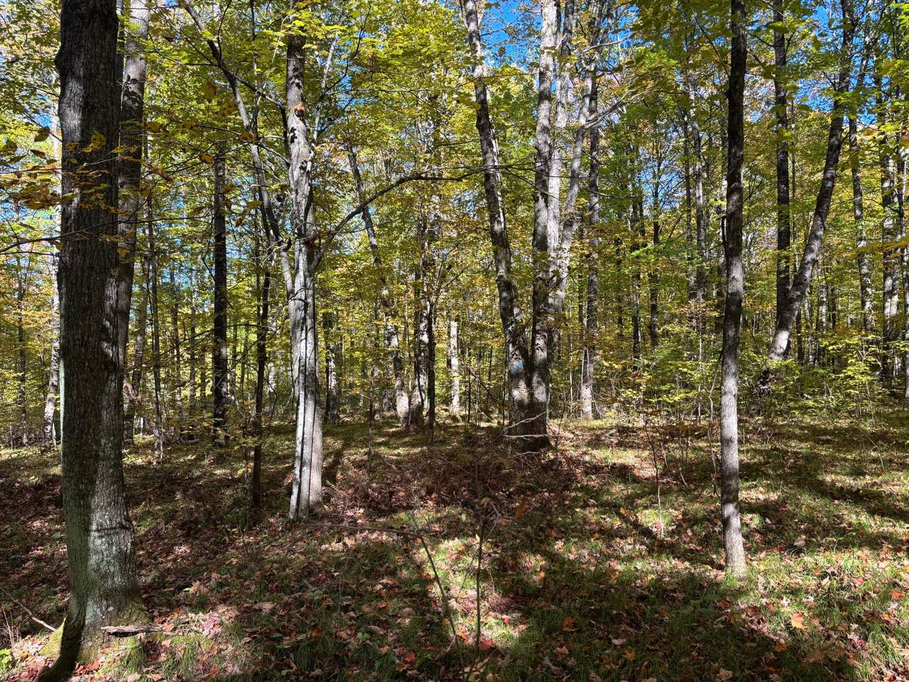 Lot 1 Kentuck Lake Rd - Photo 1