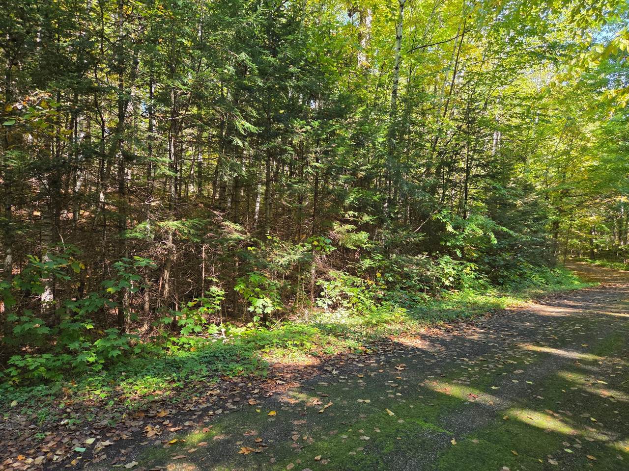 ON Moonshine Valley Rd - Photo 1