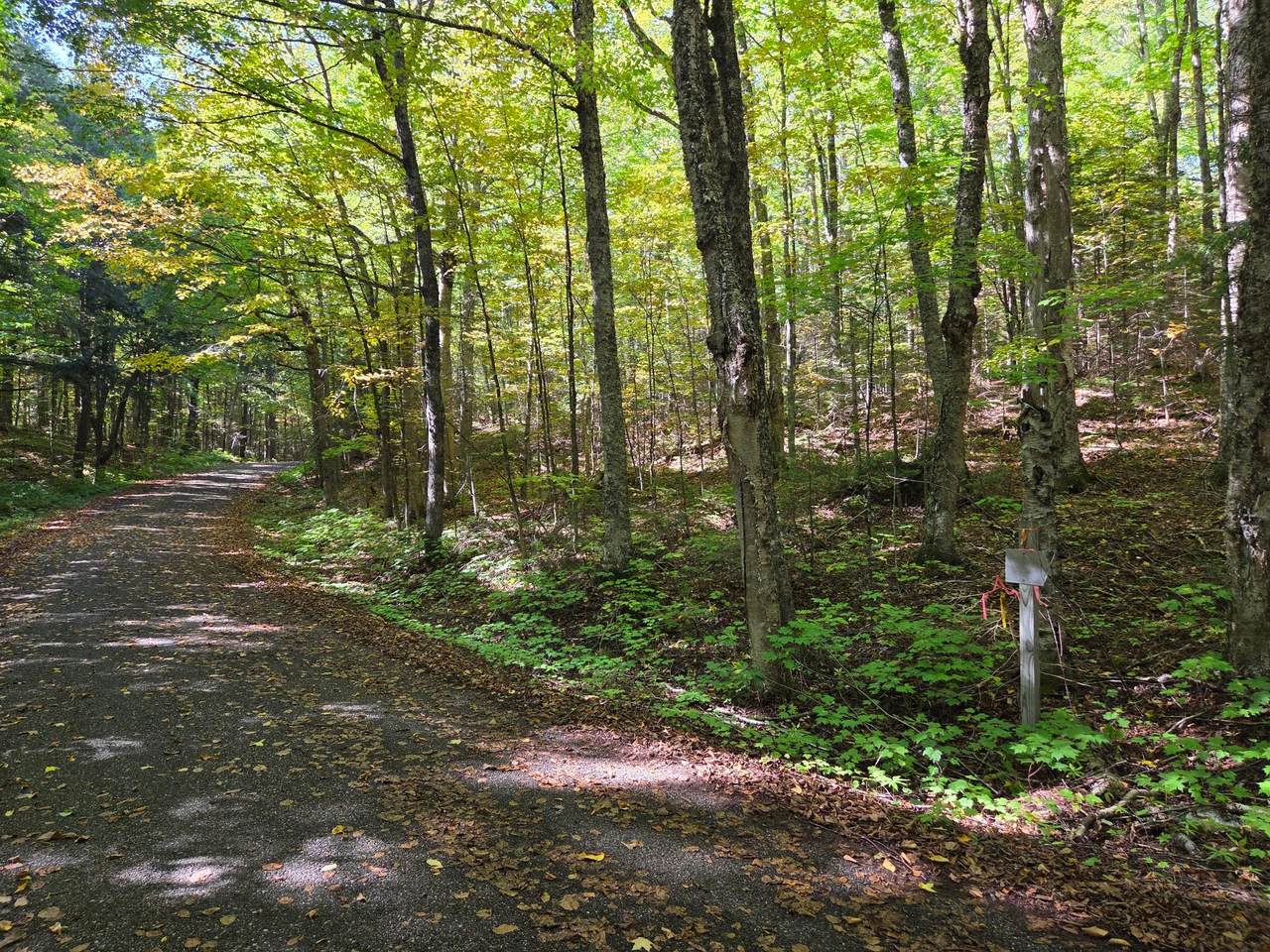 https://bt-photos.global.ssl.fastly.net/northwoods/1280_boomver_1_214513-2.jpg