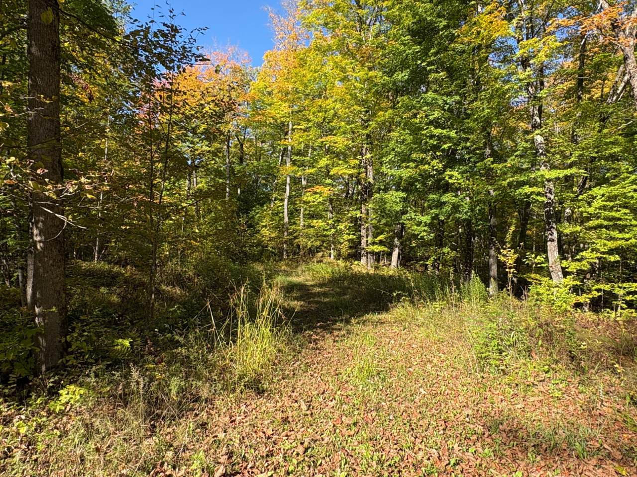 Lot 1 Isabelle Dr - Photo 1