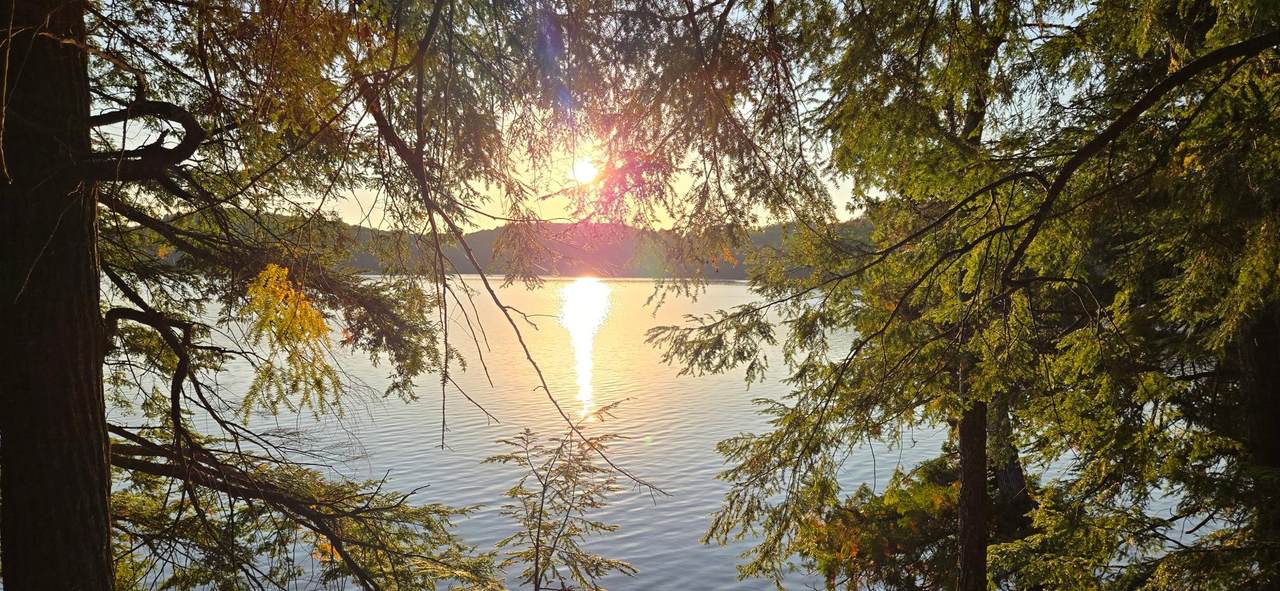 Lot 4 Bartsch Rd - Photo 1