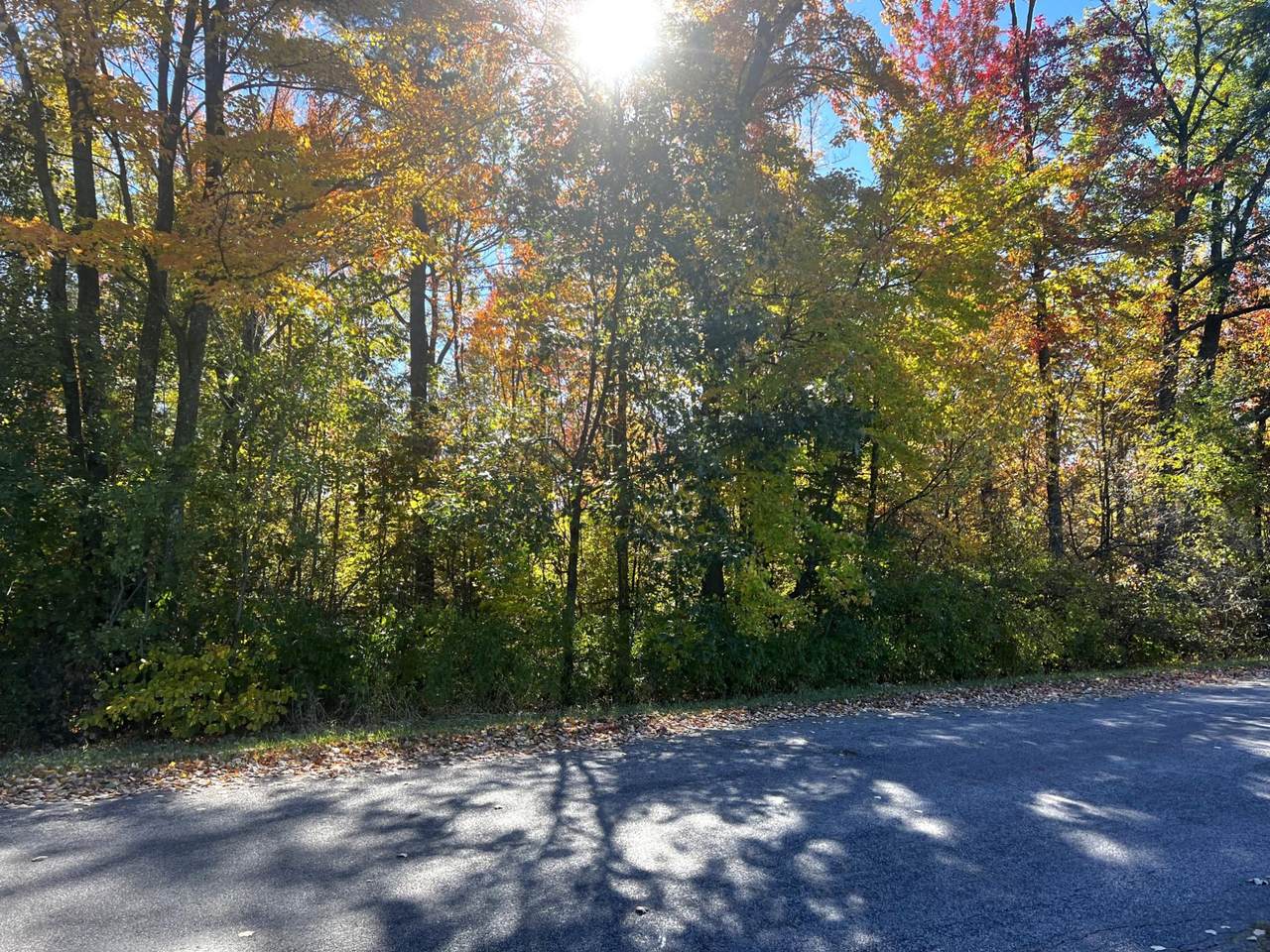 ON Red Brick Rd - Photo 1